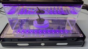 Acrylic tank with Hydrogen Peroxide used to whiten yellowed plastics